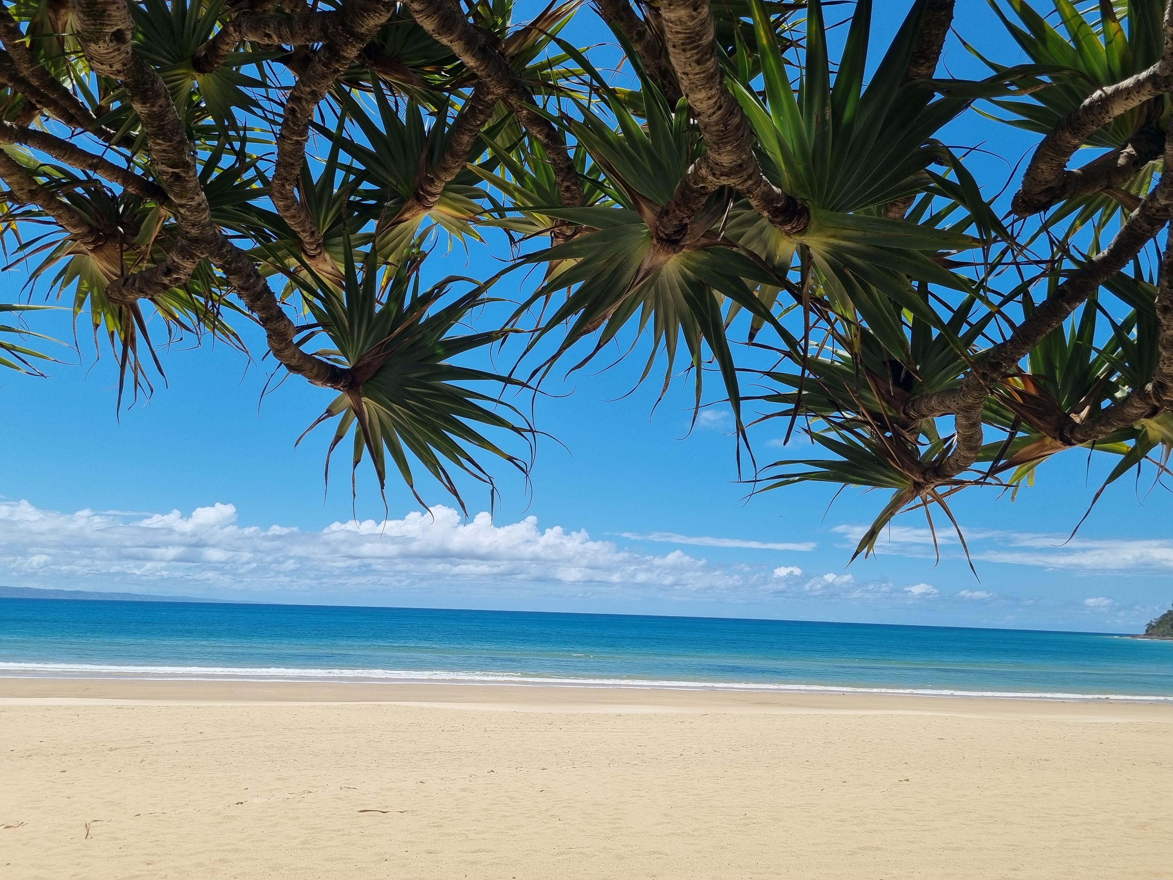 Noosa River Retreat Holiday Apartments Нусавиль Экстерьер фото